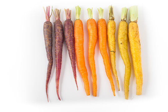 Baby Rainbow Carrots On White Background