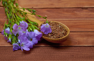 Violet flower of flax and seeds in a wooden spoon on an old vintage brown table