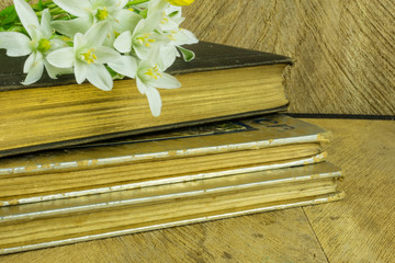 Old book on a rustic wooden board with daisies