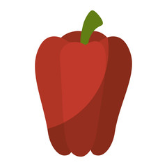 pepper vegetable icon over white background vector illustration