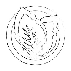 lettuce vegetable icon over white background vector illustration