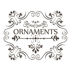 Ornaments sign with beautiful borders and frame over white background vector illustration