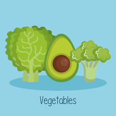 Lettuce broccoli and avocado over blue background vector illustration