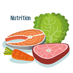 Carrot meat fish and lettuce over white background vector illustration