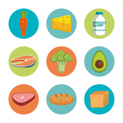 Healthy food icon set over white background vector illustration
