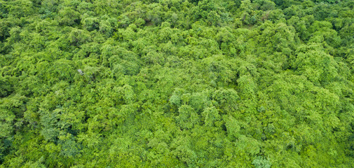 Aerial  view from flying drone at  beach and sea 