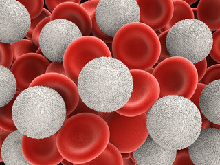  white blood cells with red blood cells