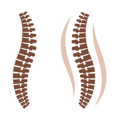human spine silhouettes vector