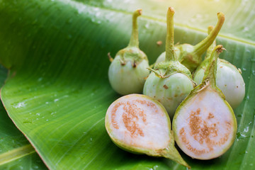 close up of Thai green eggplants laying on green banana leaf