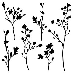 branches silhouette set