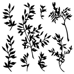branches silhouette vector set