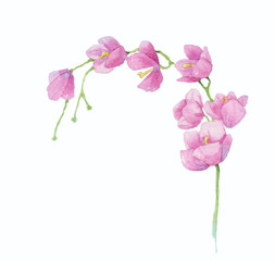 Flowers wreath watercolor
pink