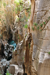 Landscape of the gorges of the Caminito del Rey, in the province of Malaga, Spain
