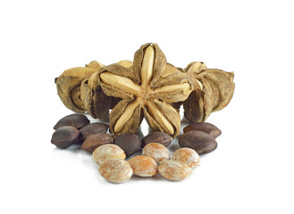 Fresh Watercress isolated on white background