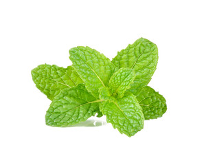 Fresh Watercress isolated on white background