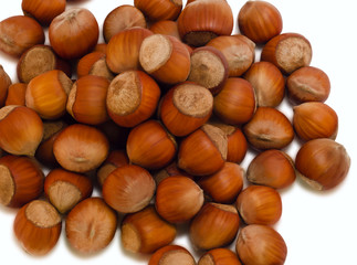 Hazelnut