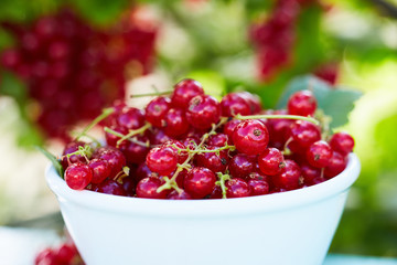 Close up of a bowl of red currant on a wooden table