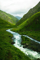 Green caucassian valley and river