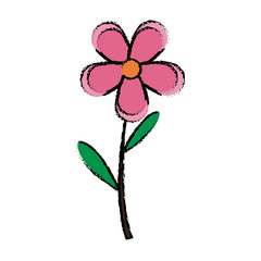 spring fower nature decoration flora vector illustration