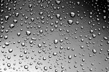 Background of water drops on the surface