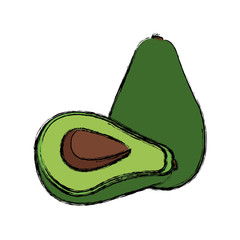 avocado food fresh green harvest diet vector illustration