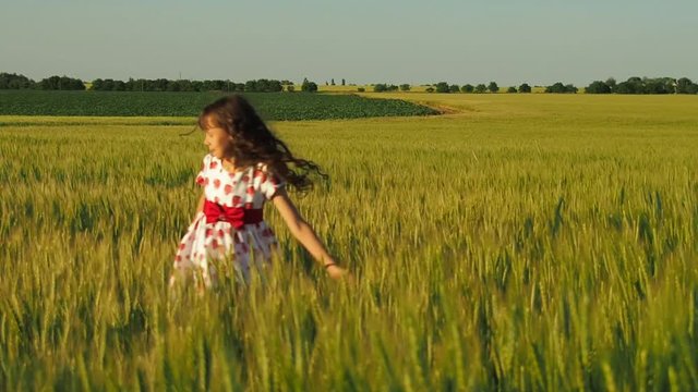 A happy little girl is spinning in a wheat field. A child is playing in a wheat field.