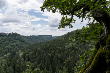 Natur Ferien Urlaub