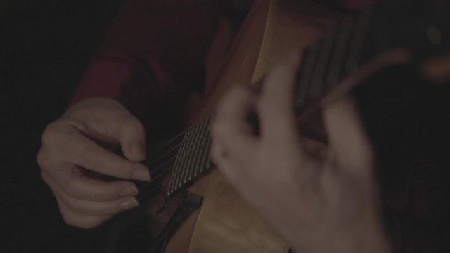 Jazzgitarrist SLOG3 04