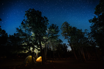 Two tents set among the trees in a camping site in a park with a lot of stars in the night sky