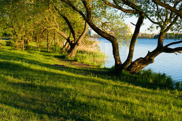 Fototapeta premium summer landscape