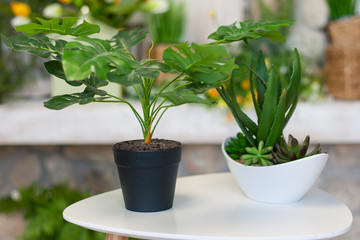 design, interior, modern