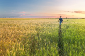 man in a wheat field / sunset field, evening photo Ukraine - Powered by Adobe