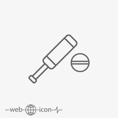 cricket bat with ball