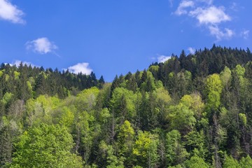 Romanian mountains with sky and perfect whather