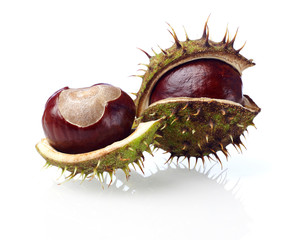 Spiked chestnuts