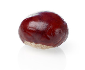 Brown chestnut