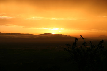 African savannah summer pictrures wild safari Tanzania Rwanda Botswana Kenya