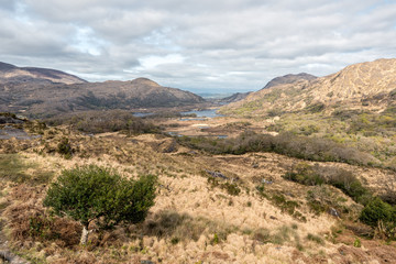 Ladies View in Killarney National Park