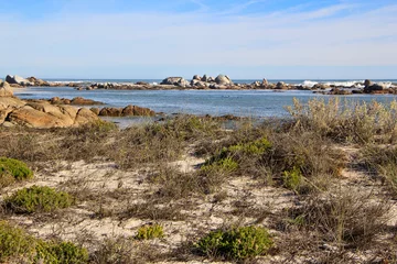 Deurstickers Groot Paternoster Private Nature Reserve © Chene