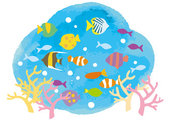 水彩雲  フィッシュ