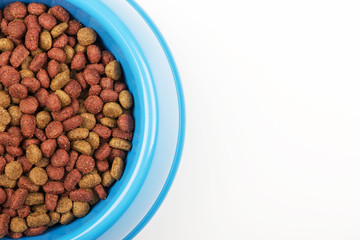 From above and bowl of puppy chow. Copy space.