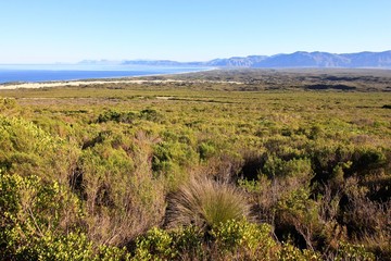 Overlooking Walker Bay in South Africa