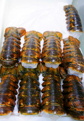 Fresh Lobster Tails