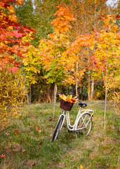 White retro style bicycle with basket with orange, yellow and green leaves, parked in the colorful fall park among trees, vertical background © alchena