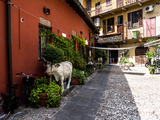 una corte lombarda con una porzione di cortile