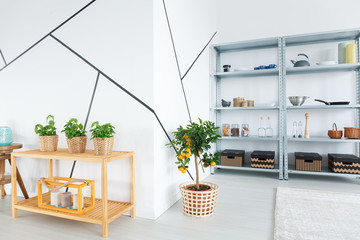Room with shelves in apartment