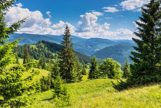 Summer landscape in mountains and the dark blue sky with clouds. Carpathian, Ukraine, Europe.