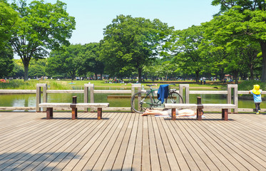 休日の代々木公園