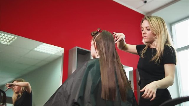 A young and modern hair stylist who practices in a beauty salon combs wet hair in order to make a stylish hairstyle and change the image of the client's with brown hair.