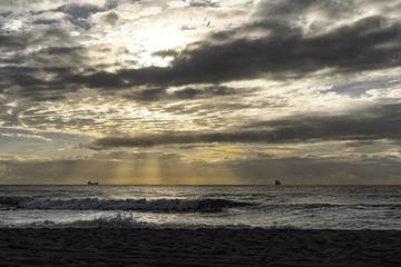 Sunbeams emerging through the clouds at sunrise over the Indian Ocean at Umhlanga. Yellow billed...